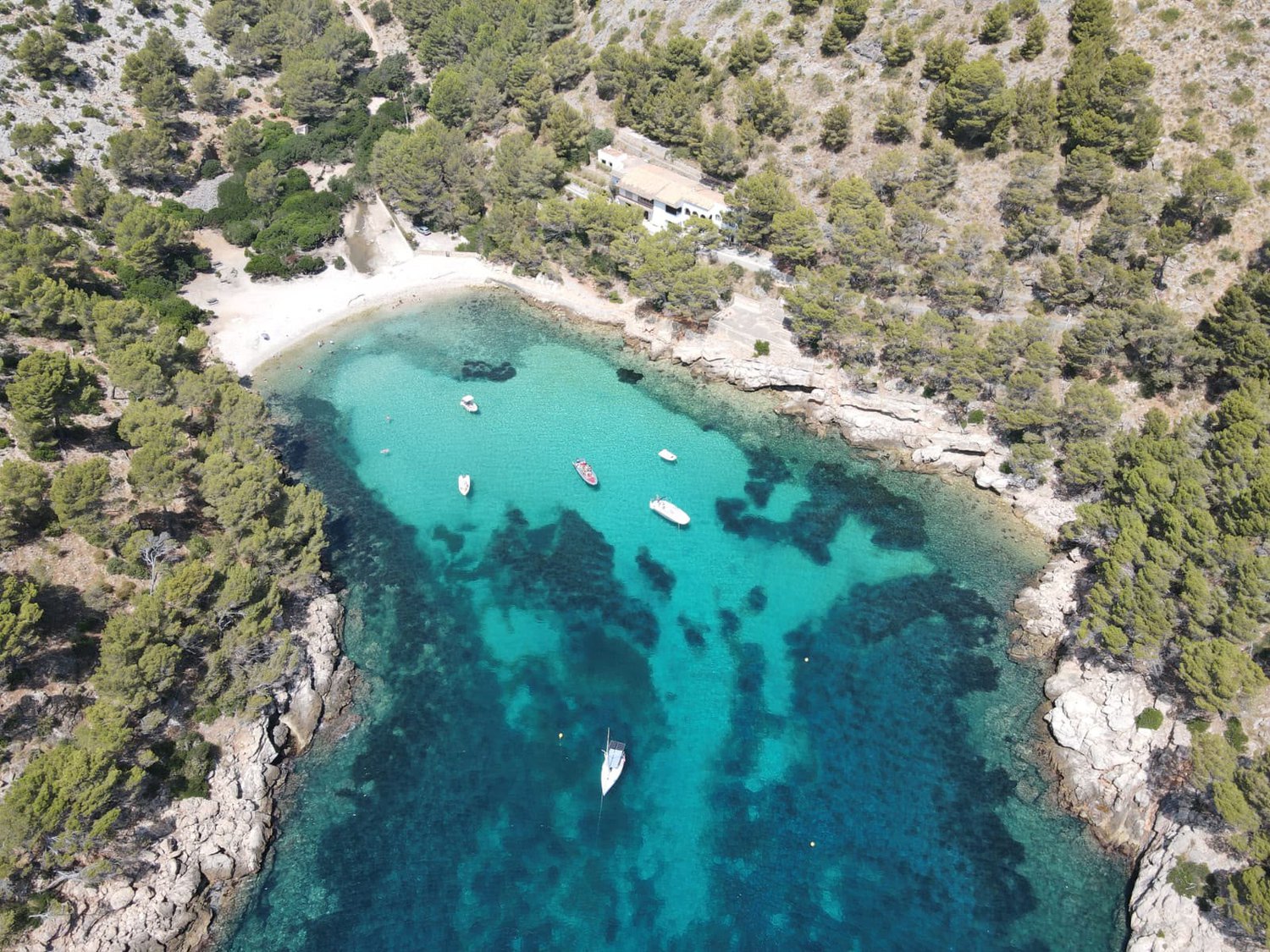 Día Completo — excursión en barco por Formentor, Mallorca